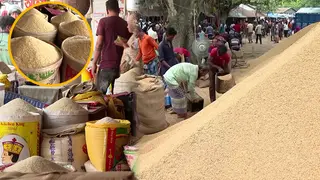 কয়েক বছর ব্যর্থতার পর বগুড়ায় এবার সফল ধান-চাল সংগ্রহ অভিযান